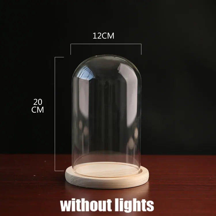 Tabletop Display Glass Cover Terrarium Container Decor Dry Flower Ornaments Craft Bell Jar Wood Base with Feet LED Light Holder
