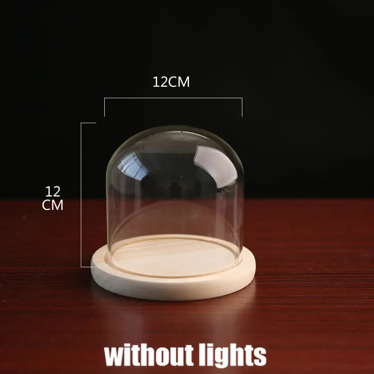 Tabletop Display Glass Cover Terrarium Container Decor Dry Flower Ornaments Craft Bell Jar Wood Base with Feet LED Light Holder