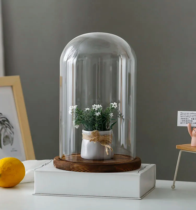 Tabletop Display Glass Cover Terrarium Container Decor Dry Flower Ornaments Craft Bell Jar Wood Base with Feet LED Light Holder