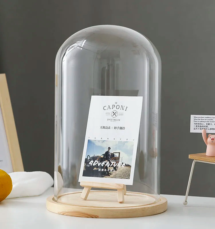 Tabletop Display Glass Cover Terrarium Container Decor Dry Flower Ornaments Craft Bell Jar Wood Base with Feet LED Light Holder
