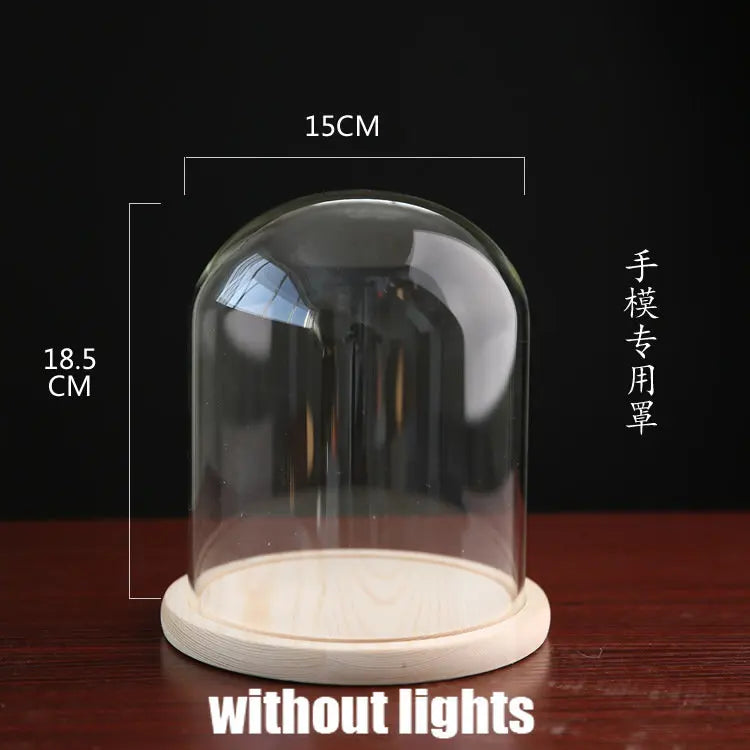 Tabletop Display Glass Cover Terrarium Container Decor Dry Flower Ornaments Craft Bell Jar Wood Base with Feet LED Light Holder