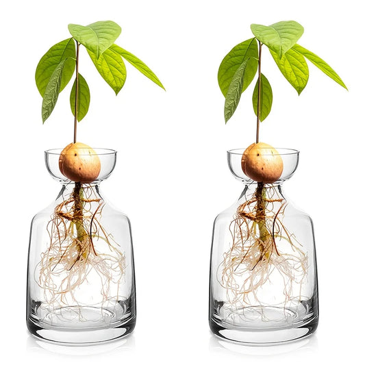 Two-piece Avocado Seed Starter Vase - Grow Your Own Avocado Tree Unique Glass Planting Pot for Gardening Lovers Start Your Green