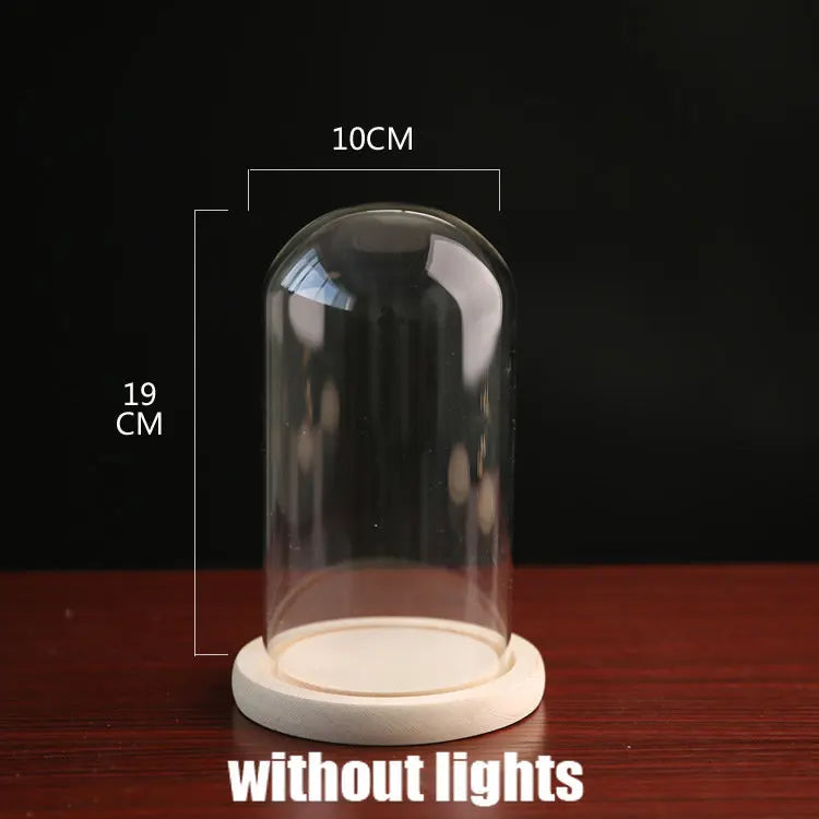 Tabletop Display Glass Cover Terrarium Container Decor Dry Flower Ornaments Craft Bell Jar Wood Base with Feet LED Light Holder