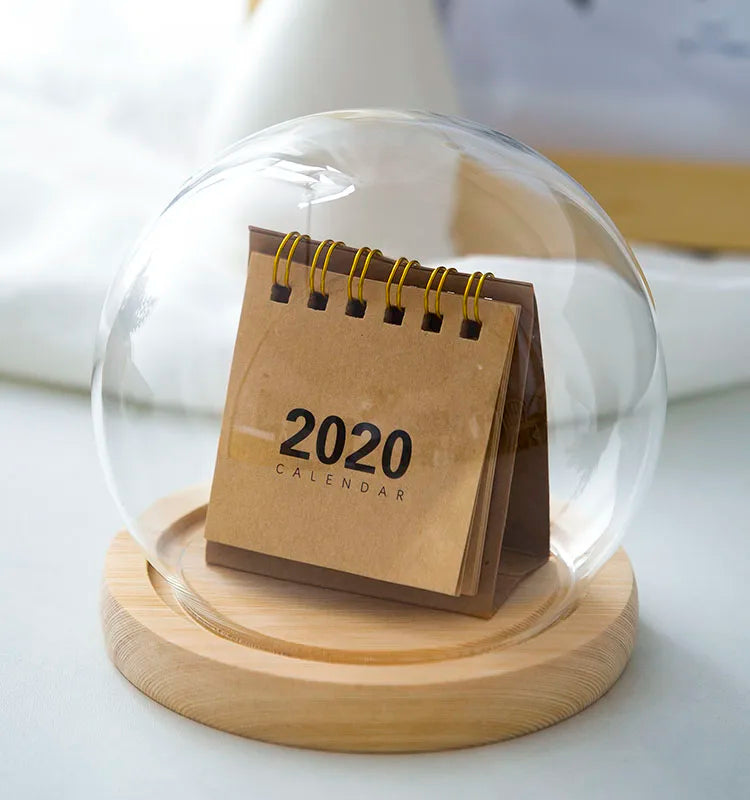 Tabletop Display Glass Cover Terrarium Container Decor Dry Flower Ornaments Craft Bell Jar Wood Base with Feet LED Light Holder