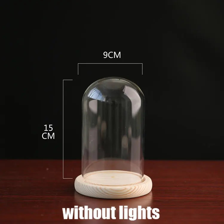Tabletop Display Glass Cover Terrarium Container Decor Dry Flower Ornaments Craft Bell Jar Wood Base with Feet LED Light Holder