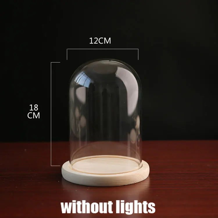 Tabletop Display Glass Cover Terrarium Container Decor Dry Flower Ornaments Craft Bell Jar Wood Base with Feet LED Light Holder