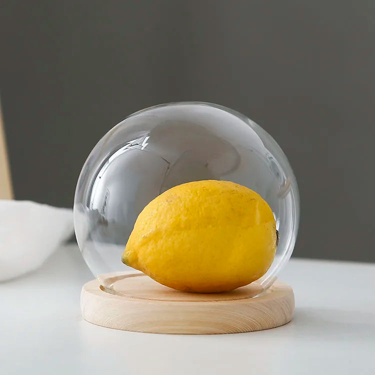 Tabletop Display Glass Cover Terrarium Container Decor Dry Flower Ornaments Craft Bell Jar Wood Base with Feet LED Light Holder