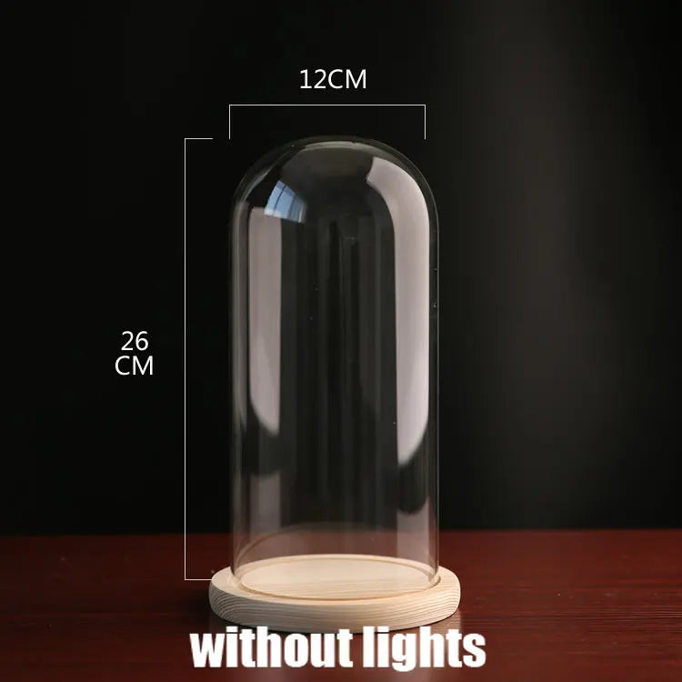 Tabletop Display Glass Cover Terrarium Container Decor Dry Flower Ornaments Craft Bell Jar Wood Base with Feet LED Light Holder