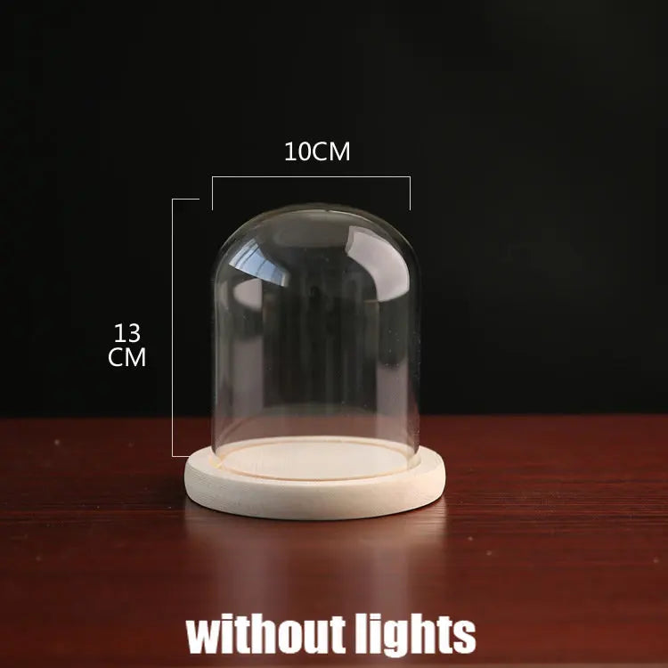Tabletop Display Glass Cover Terrarium Container Decor Dry Flower Ornaments Craft Bell Jar Wood Base with Feet LED Light Holder