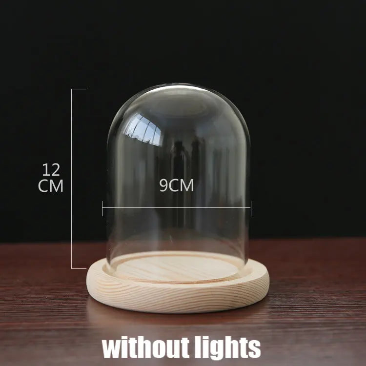 Tabletop Display Glass Cover Terrarium Container Decor Dry Flower Ornaments Craft Bell Jar Wood Base with Feet LED Light Holder