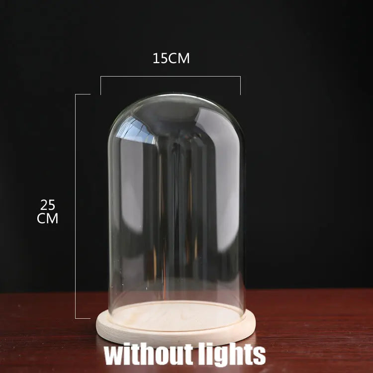Tabletop Display Glass Cover Terrarium Container Decor Dry Flower Ornaments Craft Bell Jar Wood Base with Feet LED Light Holder