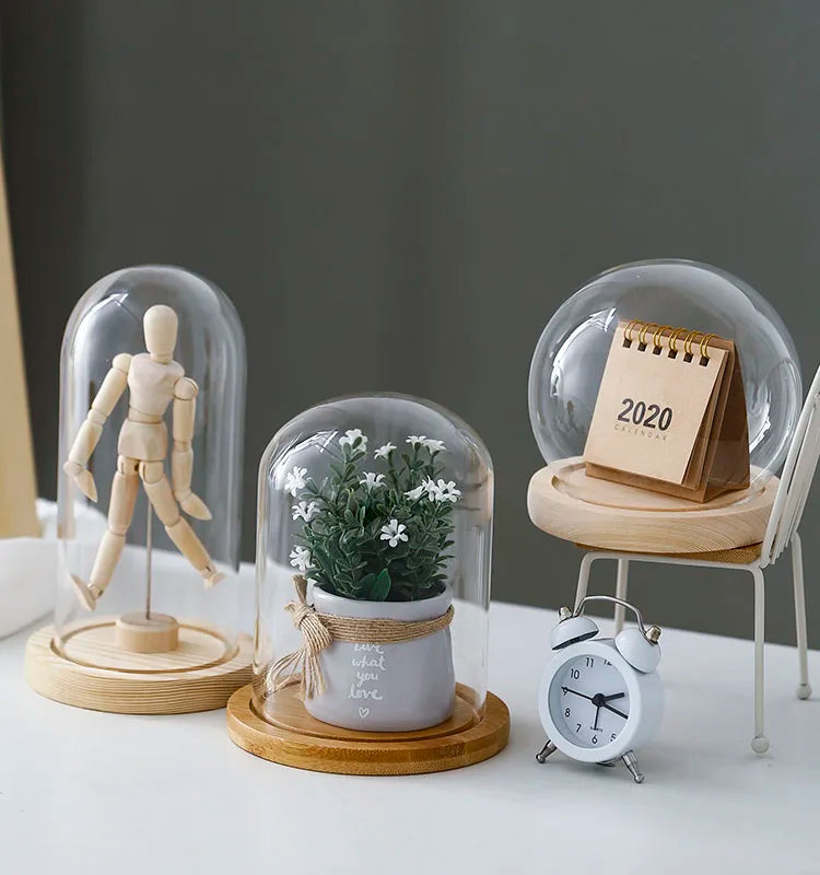 Tabletop Display Glass Cover Terrarium Container Decor Dry Flower Ornaments Craft Bell Jar Wood Base with Feet LED Light Holder
