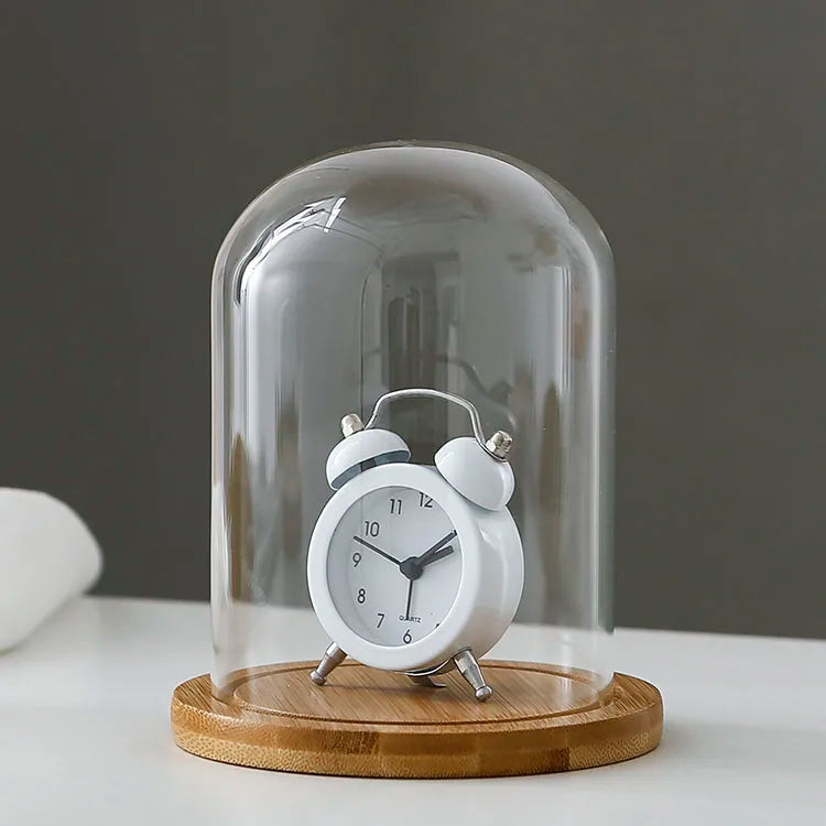 Tabletop Display Glass Cover Terrarium Container Decor Dry Flower Ornaments Craft Bell Jar Wood Base with Feet LED Light Holder