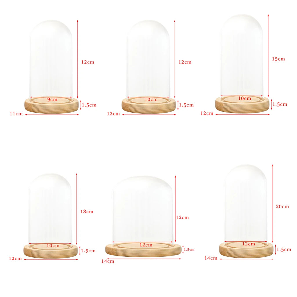 Tabletop Display Glass Cover Terrarium Container Decor Dry Flower Ornaments Craft Bell Jar Wood Base with Feet LED Light Holder