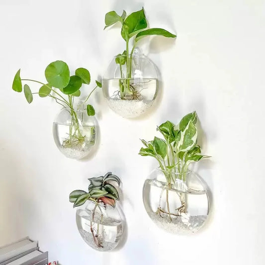 2/4/6 Pack Wall Hanging Glass Terrarium - Self-Watering Hydroponic Planter for Home Office Decor, Handmade Round Crystal Vase