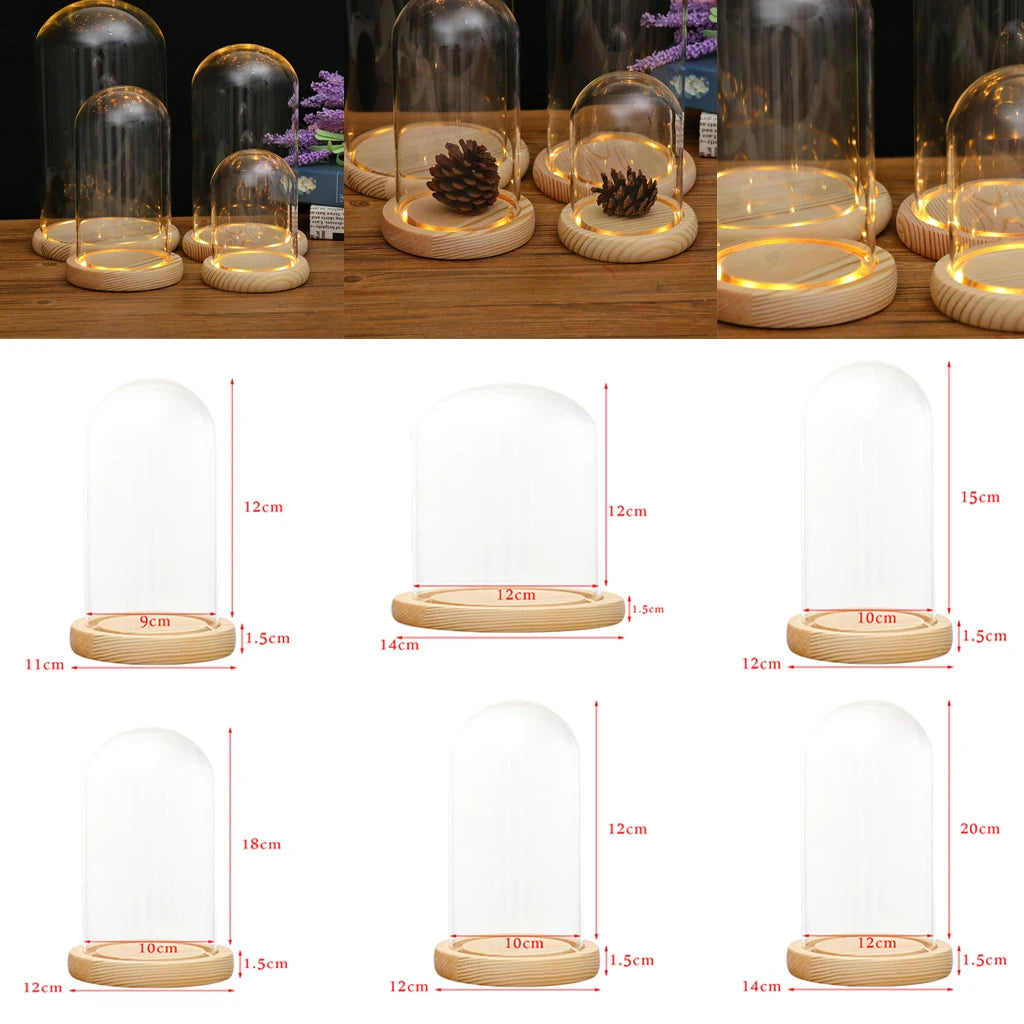 Tabletop Display Glass Cover Terrarium Container Decor Dry Flower Ornaments Craft Bell Jar Wood Base with Feet LED Light Holder
